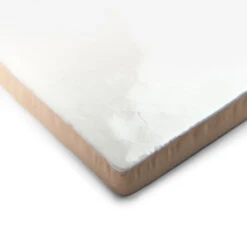 Ludlow Ammonite Wall Tile -Decor Surface Shop cca d